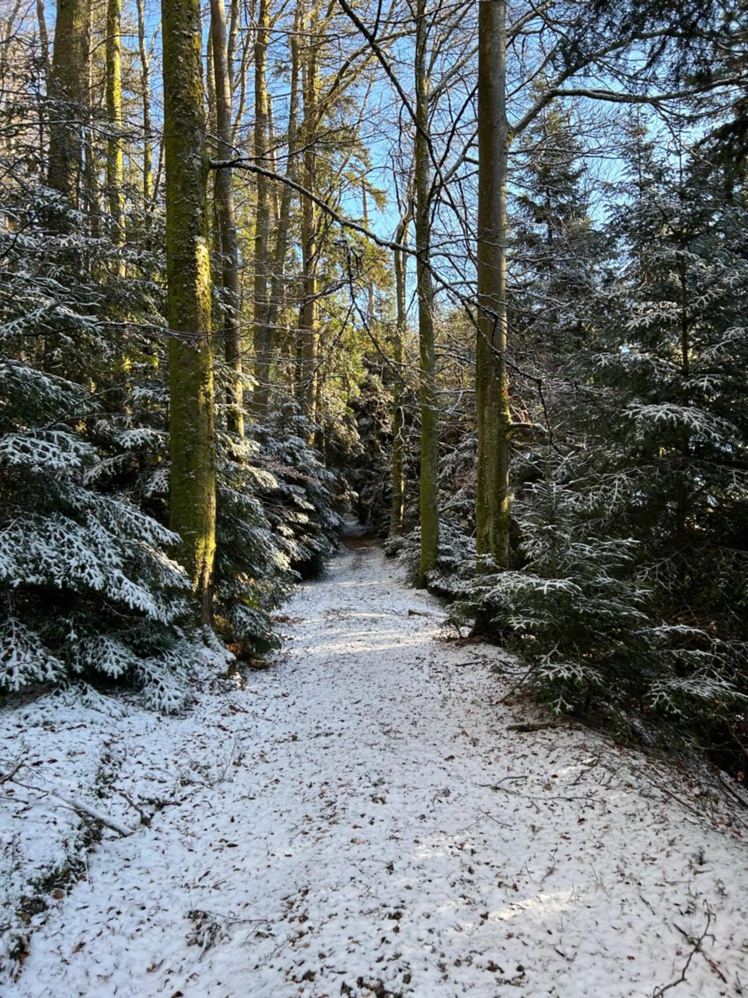 Camping Du Chateau Granges-sur-Vologne Экстерьер фото